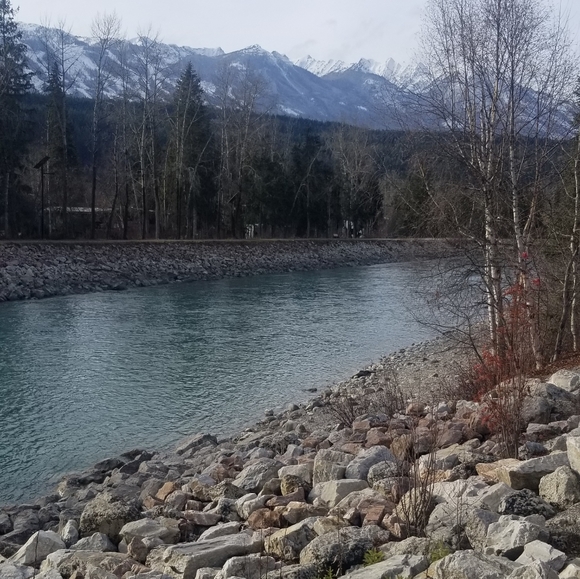 Gnome Mug - Picture 1 of 1